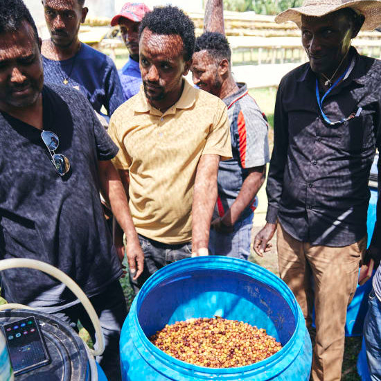 Ethiopia Yaye Odakko Project 74158 - Natural