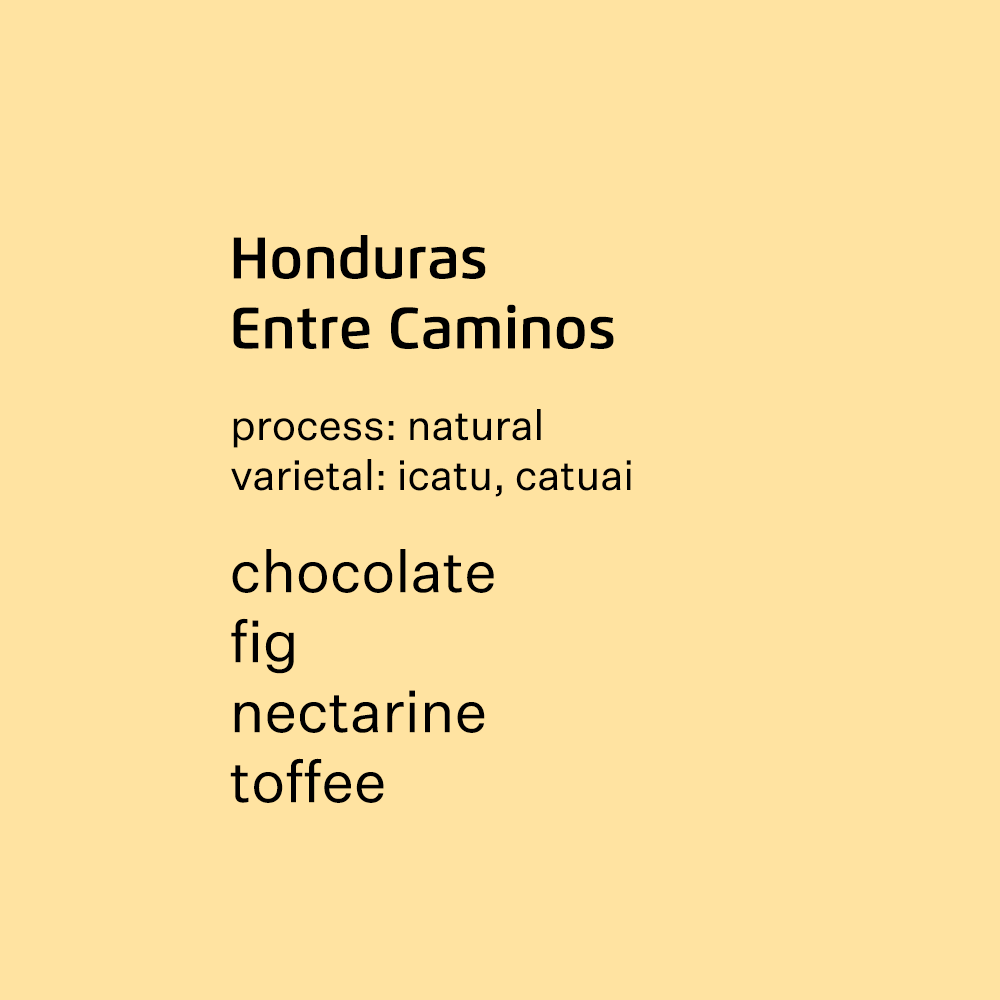 Honduras Entre Caminos Fernando Contreras, icatu & catuai - natural