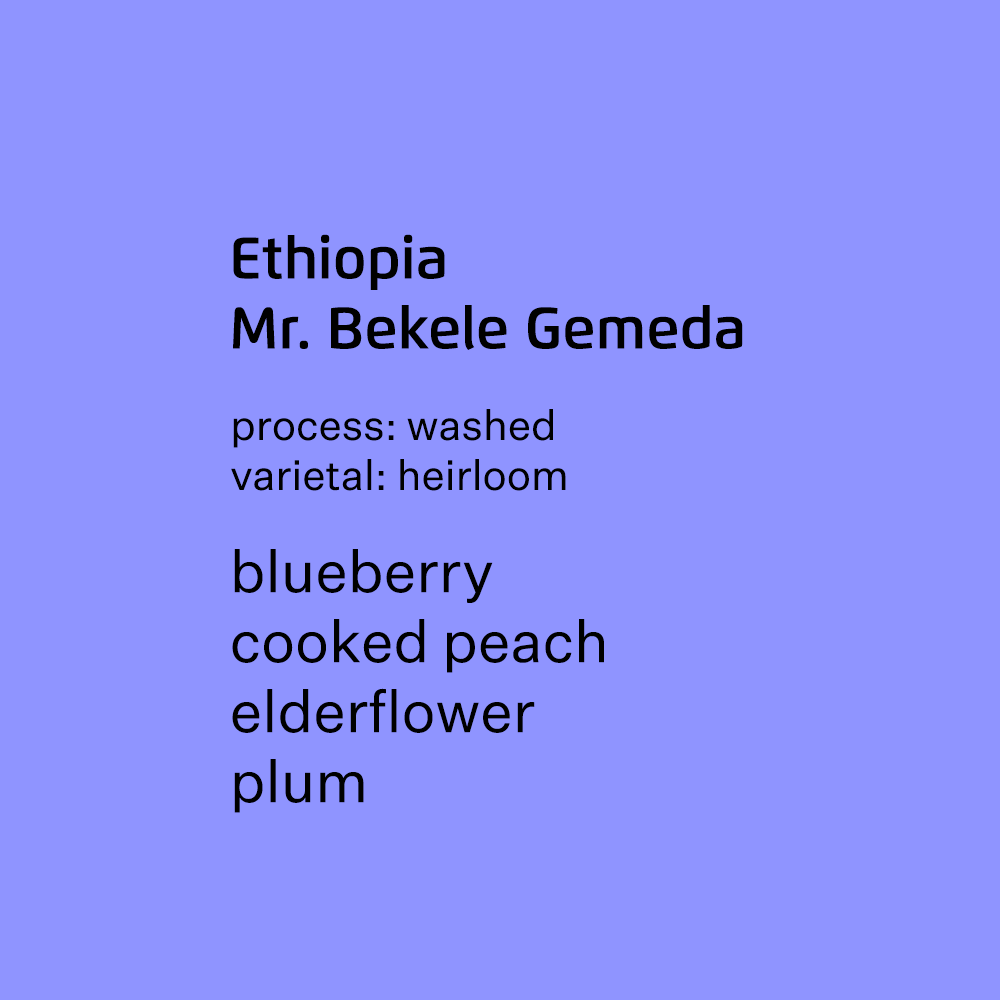 Ethiopia Mr. Bekele Gemeda, Halo Beriti Yirgacheffe - Washed