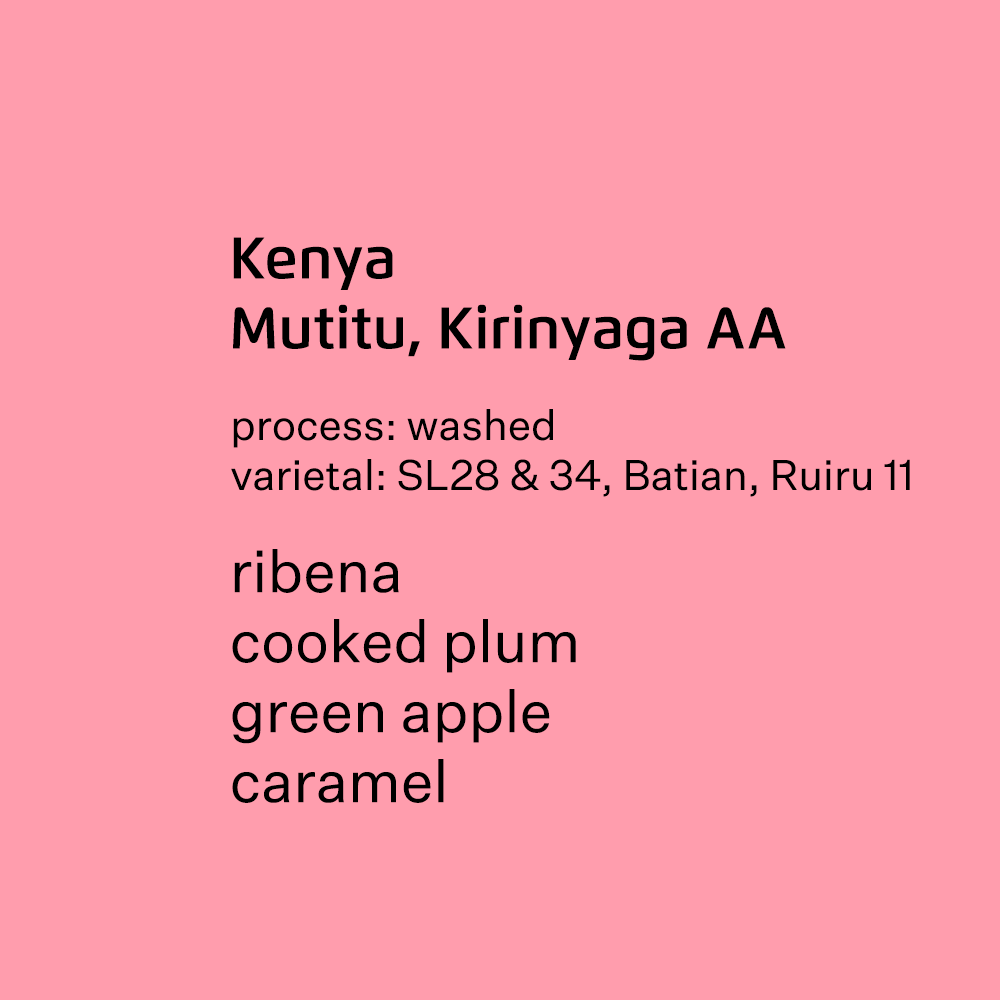 Kenya Mutitu, Kirinyaga AA - Washed