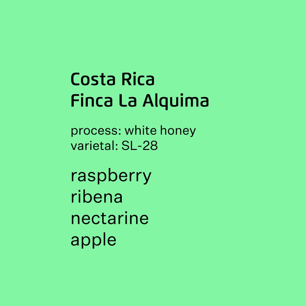 Costa Cerro San Luis Finca La Alquima SL-28 - white honey