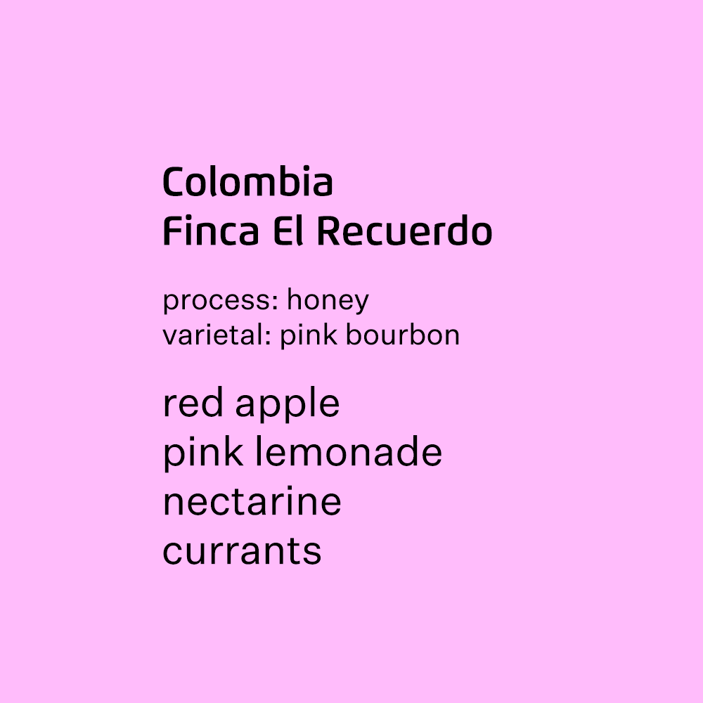 Colombia Finca El Recuerdo Pink Bourbon - Honey