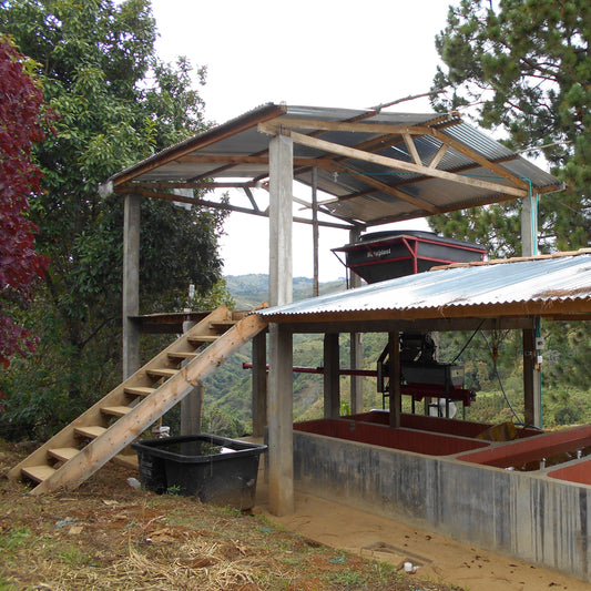 Colombia Oscar Eduwardo Realpe, Castillo - Washed