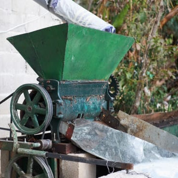 El Salvador Ignacio Gutiereez Gesha - Natural