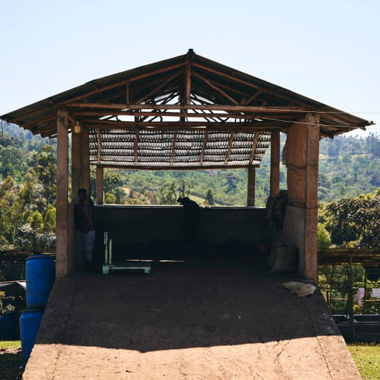 Ethiopia Yaye Odakko Project 74158 - Natural