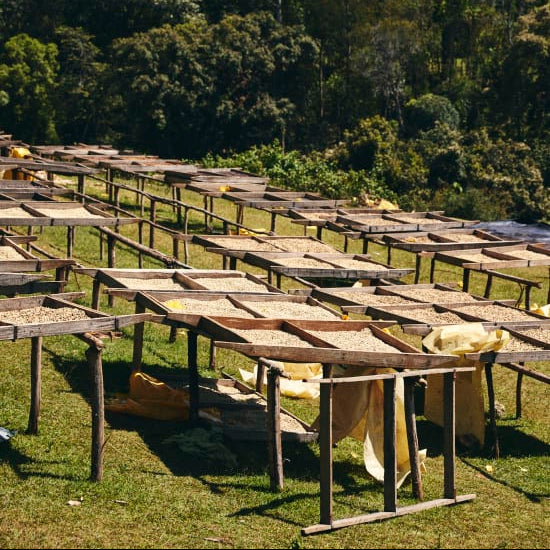 Ethiopia Yaye Odakko Project 74158 - Natural