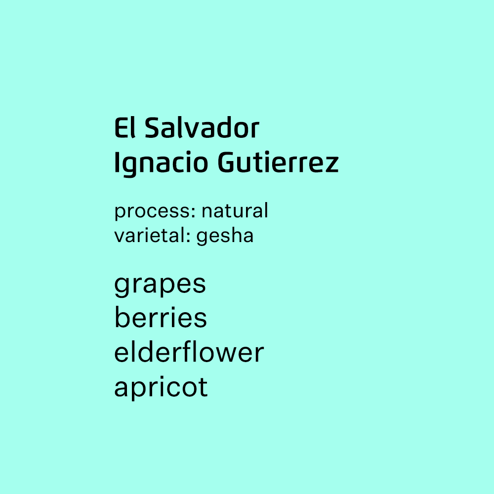 El Salvador Ignacio Gutiereez Gesha - Natural