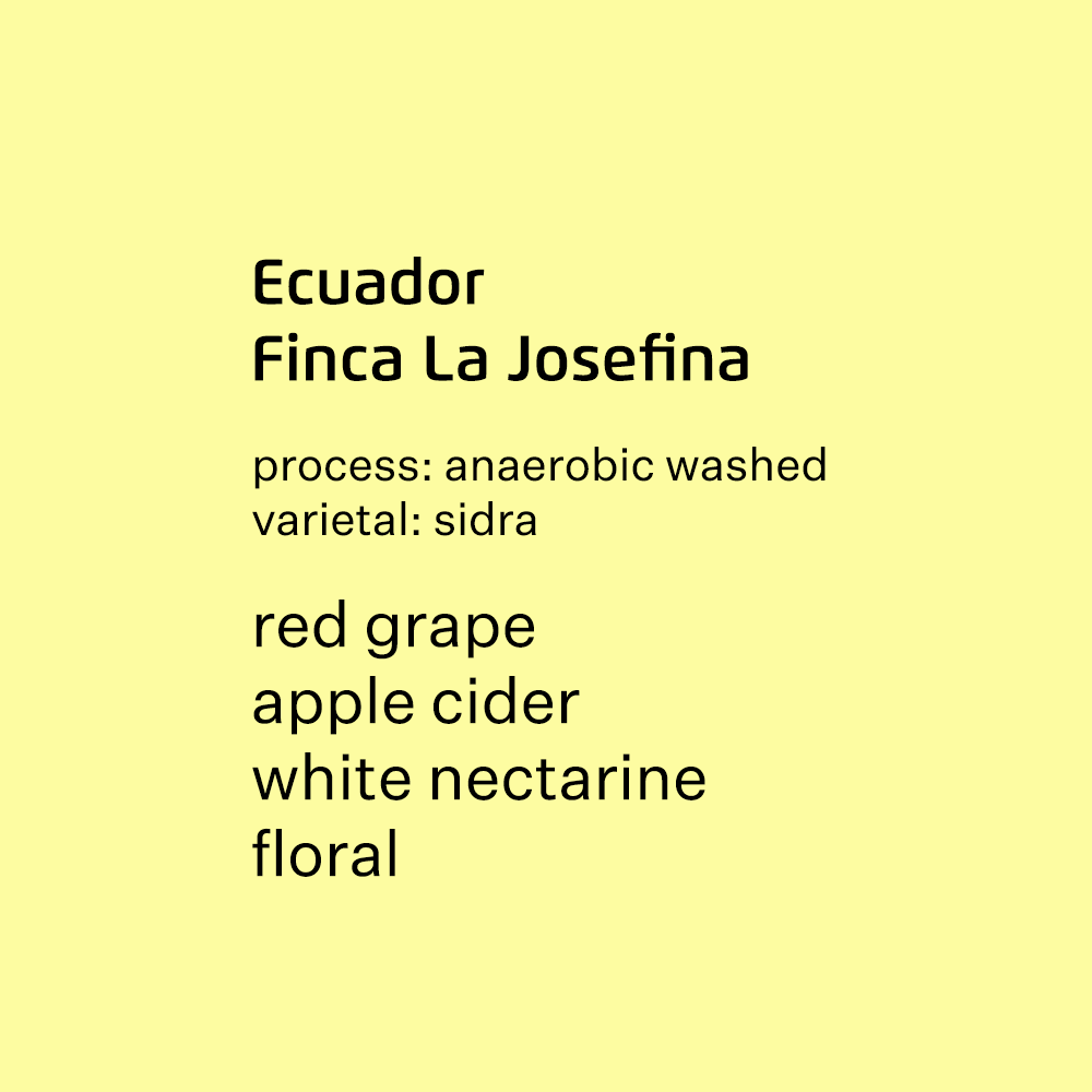 Ecuador Finca La Josefina, Sidra - anaerobic washed