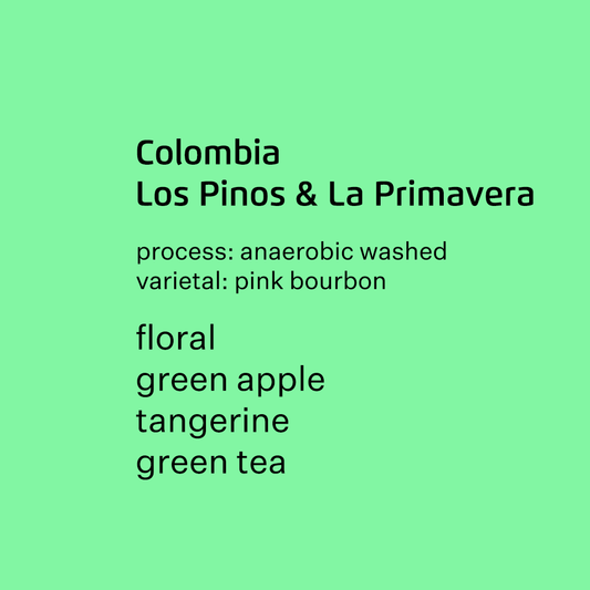 Colombia Los Pinos & La Primavera Pink Bourbon Semi-washed