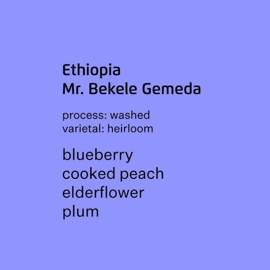 Ethiopia Mr. Bekele Gemeda, Halo Beriti Yirgacheffe - Washed