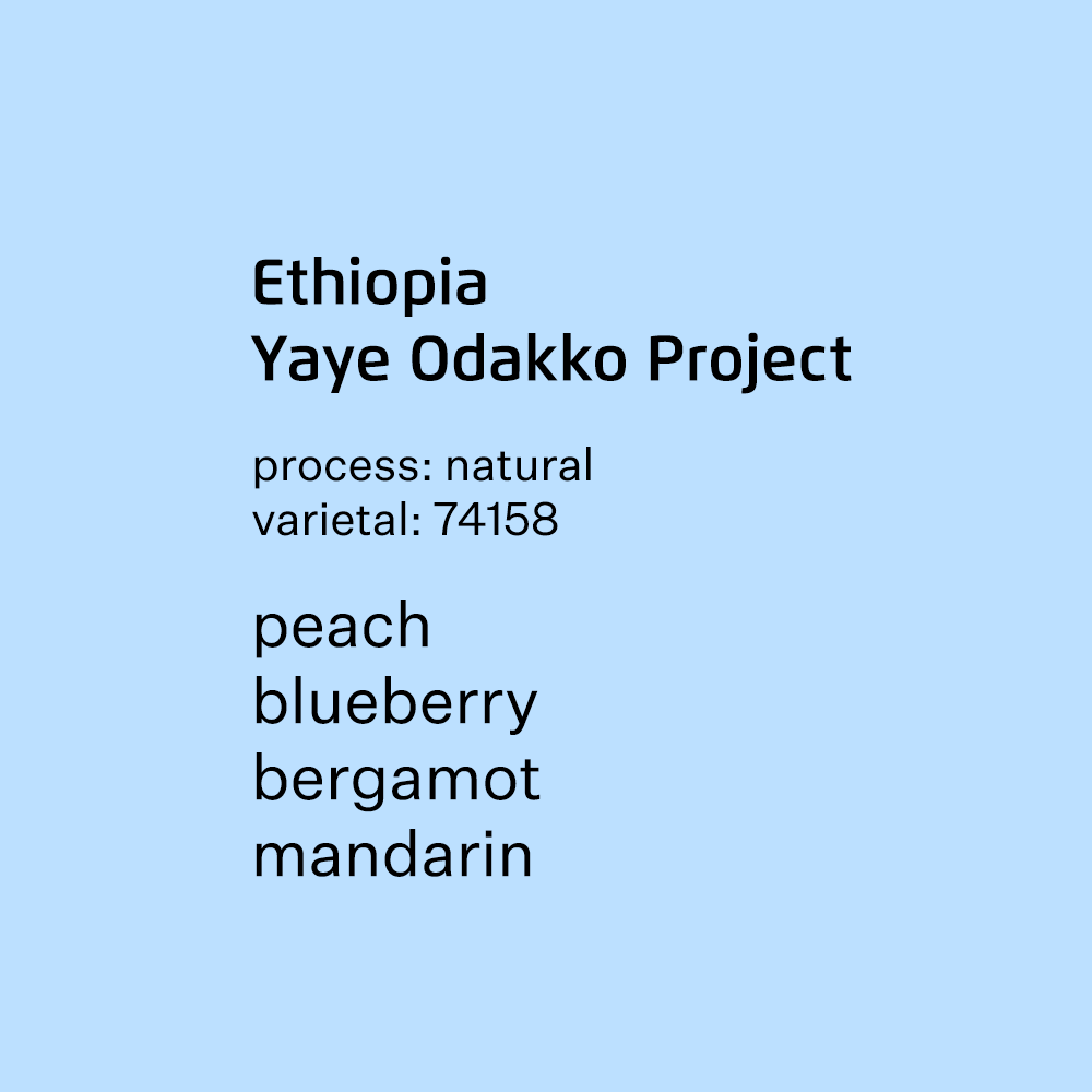 Ethiopia Yaye Odakko Project 74158 - Natural