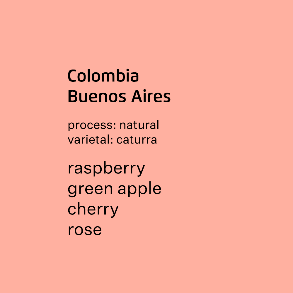 Colombia Buenos Aires Caturra - natural