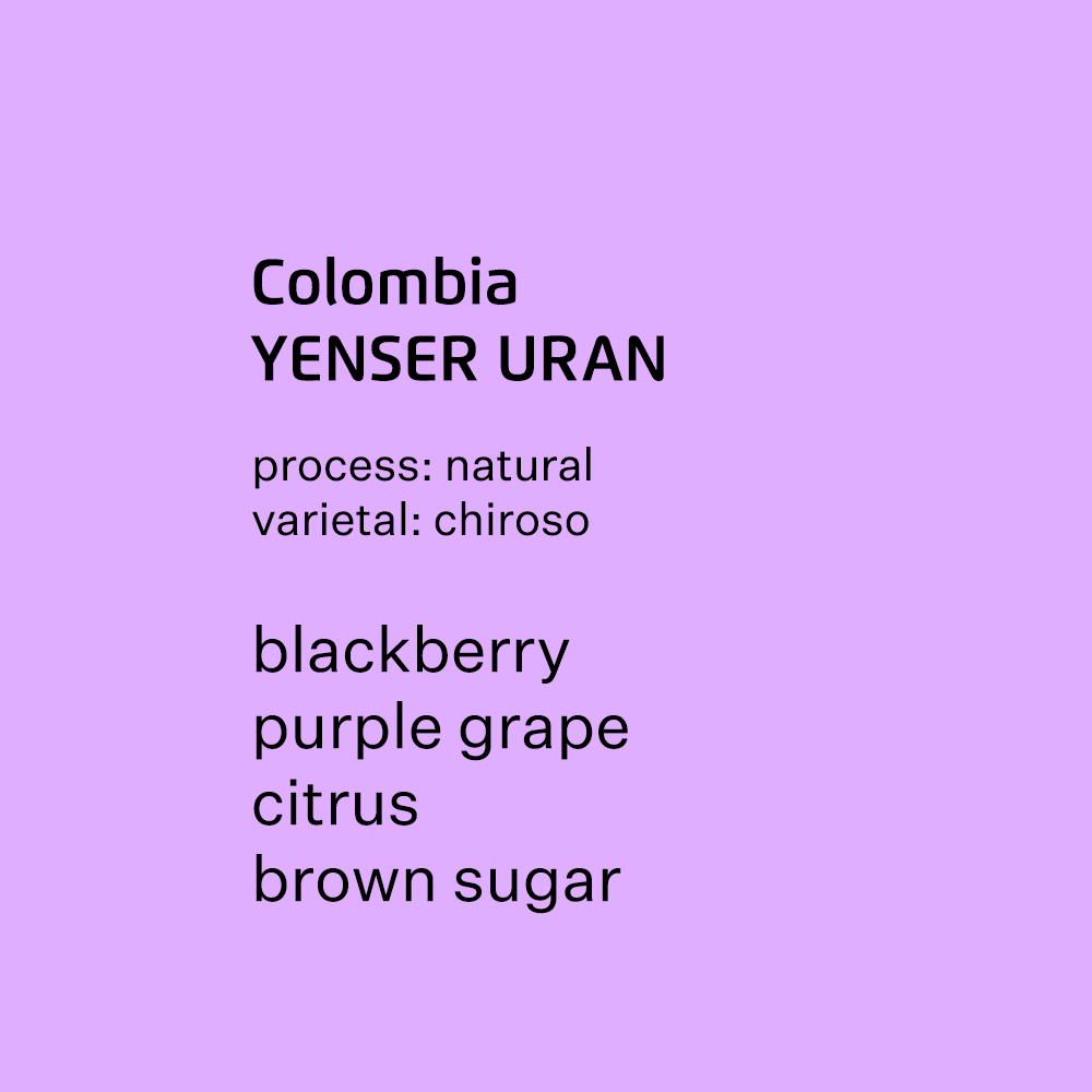 Colombia Yenser Uran, Chiroso - natural