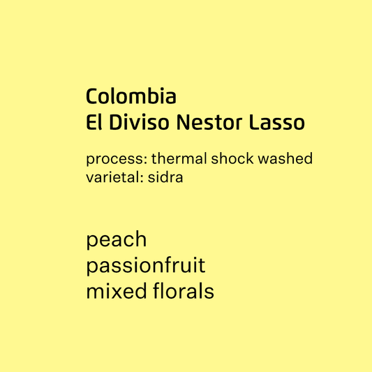 Colombia El Diviso Nestor Lasso, Sidra - Thermal shock washed