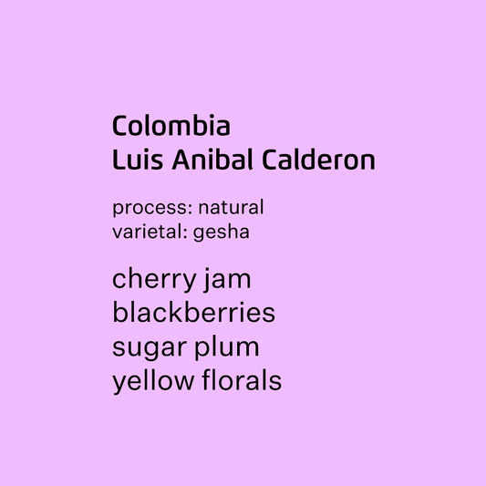 Colombia Luis Anibal Calderon, gesha - natural