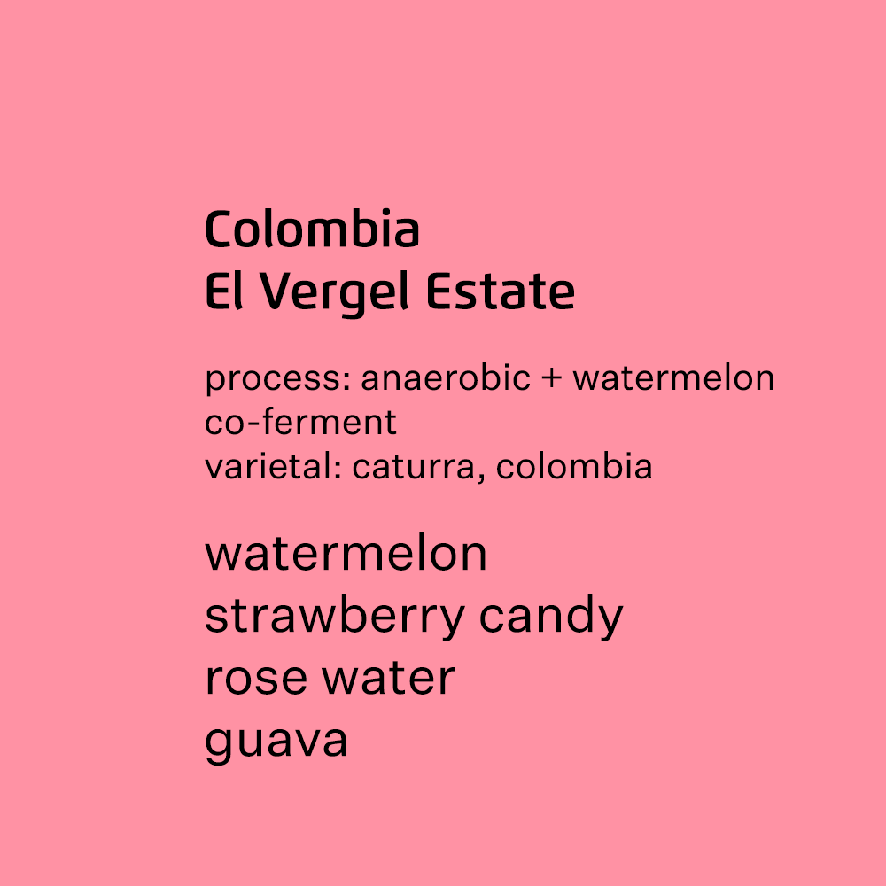 Colombia El Vergel Estate, caturra & colombia - Watermelon co-ferment